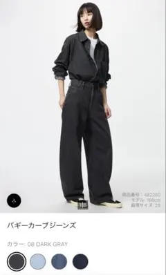 バギーカーブジーンズ 08DARKGRAY 男女兼用 27 (股下72cm)