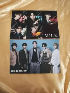 M!LK WILD BLUE ポストカード 2枚セット MILK B-PASS