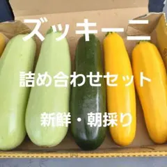 新鮮・朝採り❣️　旬のズッキーニ　コンパクトBOXセットのサムネイル