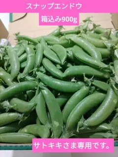 スナップエンドウ箱込み900g●●専用