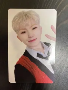 SEVENTEEN power of love DVD トレカ ウジ