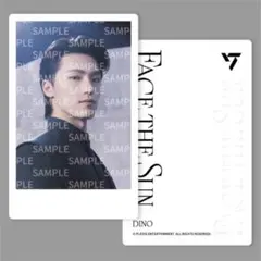 Face The Sun instant photo card ディノ