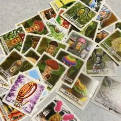 こびとづかん　チェンジングカード　３Ｄカード 2025年最新】こびとづかんカードの人気アイテム - メルカリ