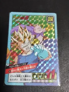 ドラゴンボールZ ベジータ＆魔人ブウスーパーバトルカード(スリーブ付き)