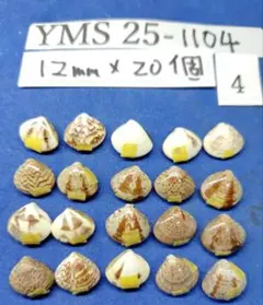 Item thumbnail for item 191cc003-c99f-4af5-b5a1-6303549527f6