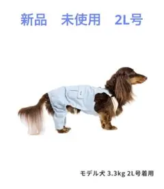 Item thumbnail for item 8a717a26-c84e-481a-9e57-fc6db8f6e10a