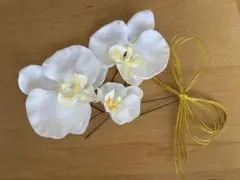 Item thumbnail for item f14cff47-e3de-4247-aa03-c781c1961472