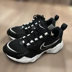 NIKE AIR HEIGHTS 24センチ
