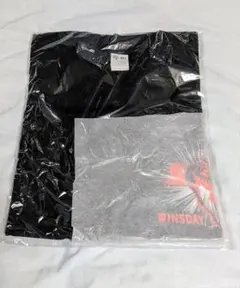 JRA、Ｔシャツ（Ｌサイズ）競馬