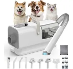 Item thumbnail for item 6fb641f4-7fe5-4cdc-8426-b99dc5c4865c