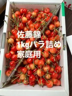 本日まで⭐︎贈L13【特別ギフトBOX】さくらんぼ【L・LL】2箱セット 