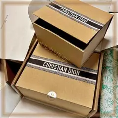 【大小2ケースセット】DIOR ディオリビエラ ブックトート柄 収納BOX
