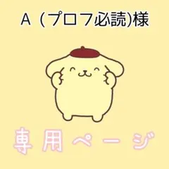 A (プロフ必読)様専用ページ