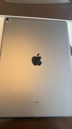 ★美品★iPad Pro(第2世代) 12.9インチ512GB 付属品未使用