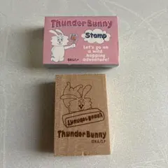 2026年最新】thunder bunnyの人気アイテム - メルカリ
