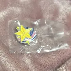 アイカツ！ プリパラ ピンズコレクション スターライト学園 校章