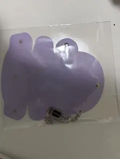 リップケース　ファンクラブ特典