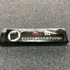 DRY BZ オリジナル折りたたみクッション