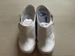 Item thumbnail for item a7fe85cc-a6c6-432a-8e86-d3b66659ff91