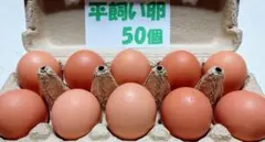 Item thumbnail for item dad956ae-af90-4709-a85f-42d464014711