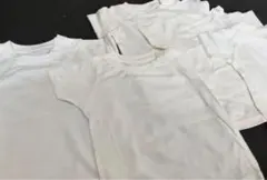 Item thumbnail for item 4de2977c-757d-4845-a7a8-a525cfc8f660