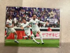 サンフレッチェ広島　東　ルヴァンカップ優勝記念オリジナルカード　スタグル限定