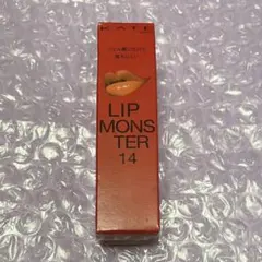 14 憧れの日光浴 リップモンスター KATE ケイト