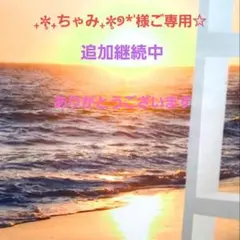 ₊✼̥₊ちゃみ₊✼̥୭*ˈ様ご専用☆最長3/28日までお取り置き可能只今2点目☆