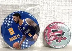 Item thumbnail for item 1b6c9369-8d59-404b-bde1-0448e69aff62