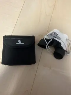 슈퍼 써니 쌍안경 콘서트