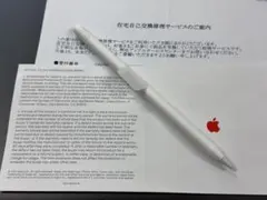 Apple Pencil 第二世代 第2世代 iPad Pro mini 白