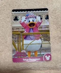 ミニパル ドナルドダック コレクションカード