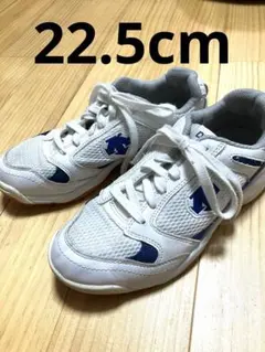 DESCENTE　体育館シューズ　デサント　室内履き　22.5EE 青　上履き