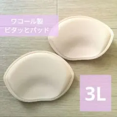 Item thumbnail for item 31cdffbb-c08f-484a-8575-6126b7384c8c