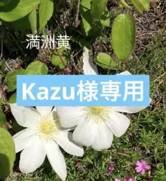 L ＊kazu様 リクエスト 2点 まとめ商品