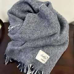 Item thumbnail for item 822d7f51-9865-4070-9fe2-1a20bd9b2a41