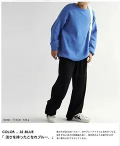 【値下げ中】ニットトップス ニット メンズ トップス 長袖　ブルー　青