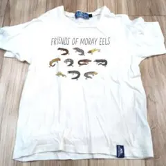 クリフメイヤー　Tシャツ　140cm　ルアー　ウツボ　竹島水族館のサムネイル