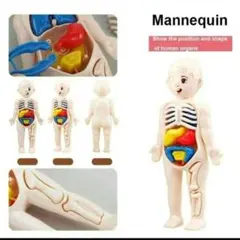 Item thumbnail for item 5128aabd-8431-4fa6-8831-9c1f21914285