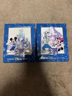 未開封　東京ディズニーリゾート 25周年記念キャラクターグッズ 2個セット