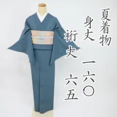 【夏着物】紋絽＊無地小紋 長尺 芝文に蛍模様 紺 普段着物 正絹 6KA5 洗える♪夏着物】絽＊色無地 無紋 青紺 普段着物 化繊 カジュアル 7IA6