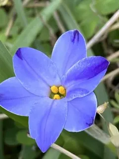 ナミ様 リクエスト 3点 まとめ商品