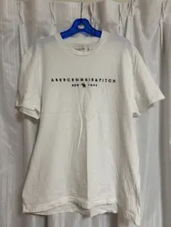 Abercrombie & Fitch ホワイト Tシャツ Lサイズ