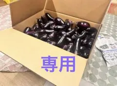 【ガラパゲイア様専用】160サイズのサムネイル