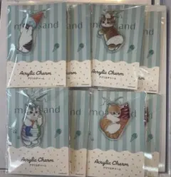 mofusand ファミマ アクリルチャーム全4種セット×２個