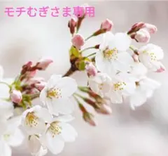 モチむぎ☘様 リクエスト 2点 まとめ商品