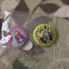 ディズニー刺繍缶バッジ 2個セット