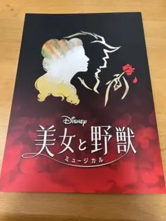 2026年最新】劇団四季パンフレットの人気アイテム - メルカリ