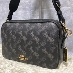 【極美品】COACH コーチ ショルダーバッグ レザー PVC ジェス ブラック