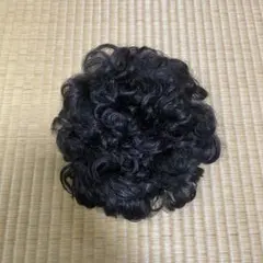 Item thumbnail for item 5d876f0d-c325-495d-afdf-461a826f584f